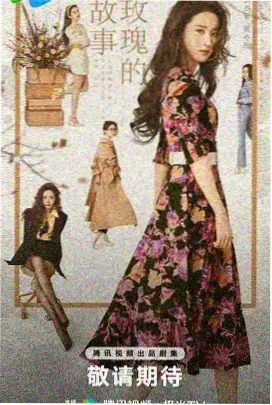 阿甘正传 经典电影在线观看